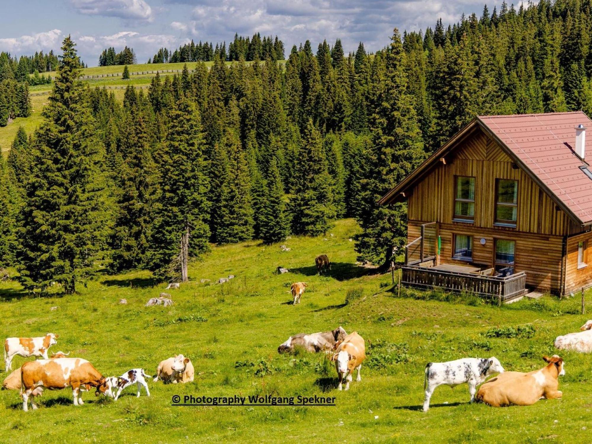 Mountain Hut With Sauna On Weinebene Villa Posch Alpe Exteriör bild